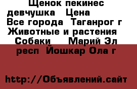 Щенок пекинес девчушка › Цена ­ 2 500 - Все города, Таганрог г. Животные и растения » Собаки   . Марий Эл респ.,Йошкар-Ола г.